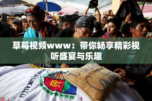草莓视频www：带你畅享精彩视听盛宴与乐趣
