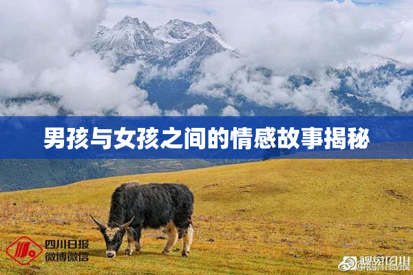 男孩与女孩之间的情感故事揭秘