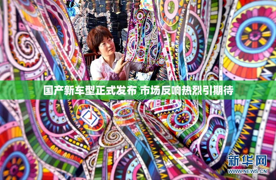国产新车型正式发布 市场反响热烈引期待