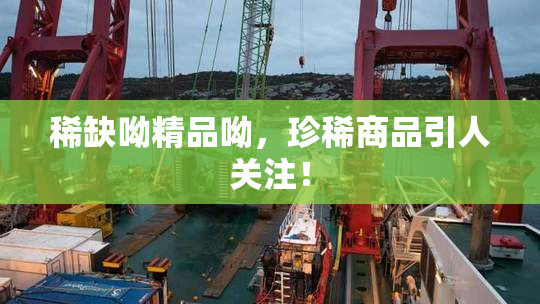 稀缺呦精品呦，珍稀商品引人关注！