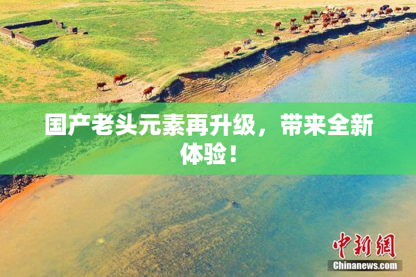 国产老头元素再升级，带来全新体验！