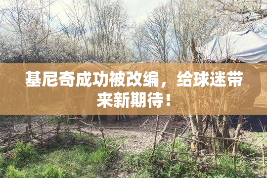基尼奇成功被改编，给球迷带来新期待！