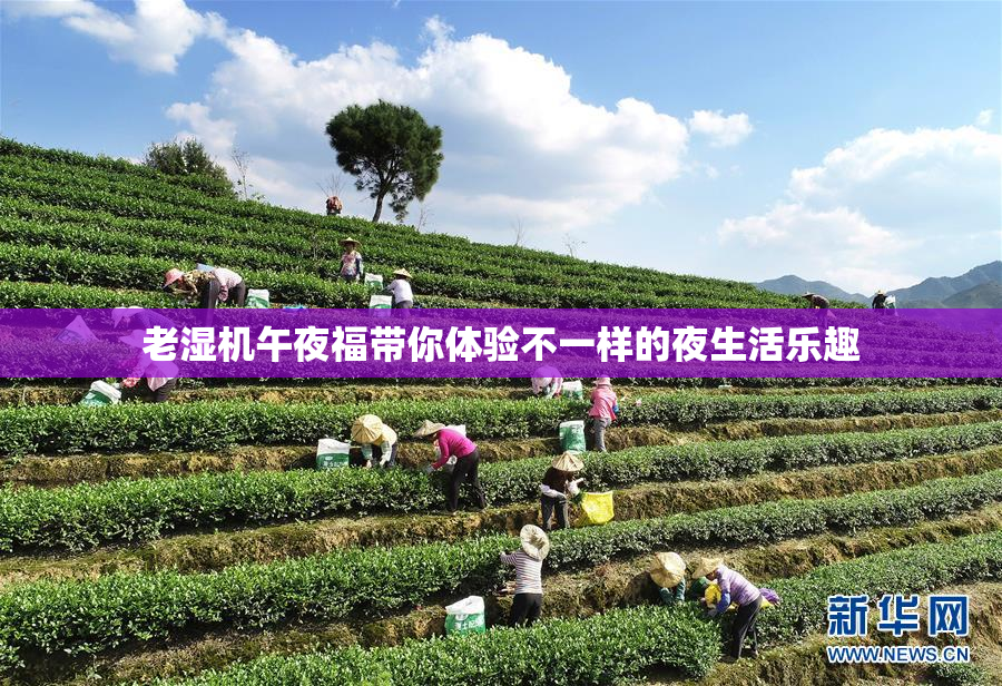 老湿机午夜福带你体验不一样的夜生活乐趣