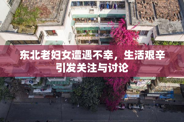 东北老妇女遭遇不幸，生活艰辛引发关注与讨论