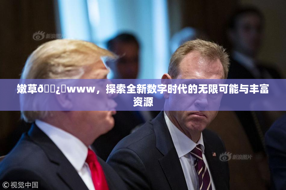 嫩草🌿‌www，探索全新数字时代的无限可能与丰富资源