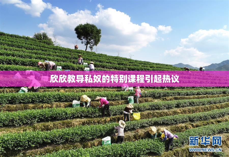 欣欣教导私奴的特别课程引起热议