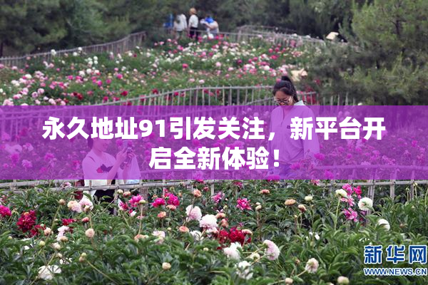 永久地址91引发关注，新平台开启全新体验！