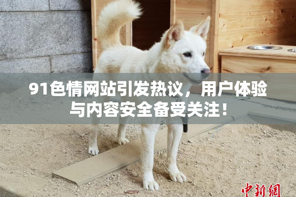 91色情网站引发热议，用户体验与内容安全备受关注！
