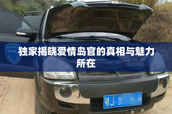 独家揭晓爱情岛官的真相与魅力所在