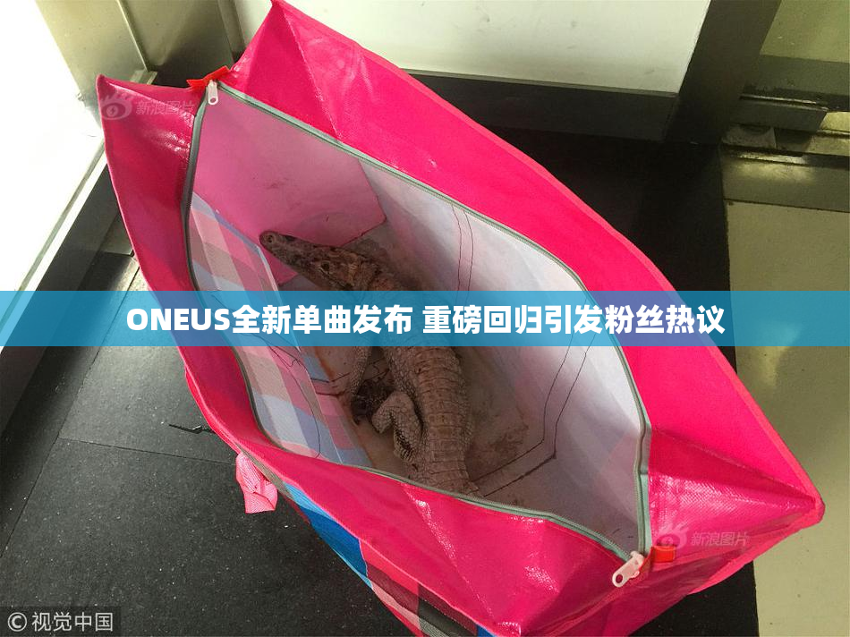 ONEUS全新单曲发布 重磅回归引发粉丝热议