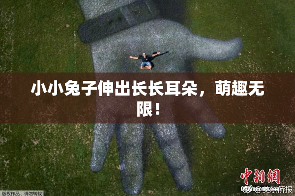 小小兔子伸出长长耳朵，萌趣无限！