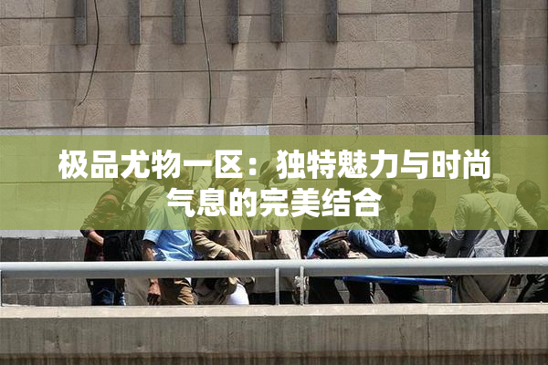极品尤物一区：独特魅力与时尚气息的完美结合