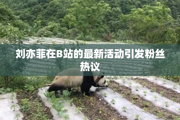 刘亦菲在B站的最新活动引发粉丝热议