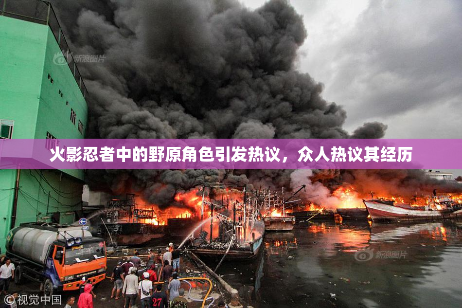 火影忍者中的野原角色引发热议，众人热议其经历