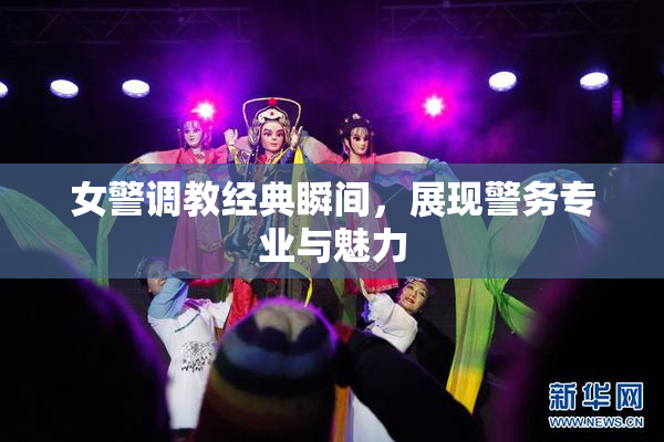 女警调教经典瞬间，展现警务专业与魅力