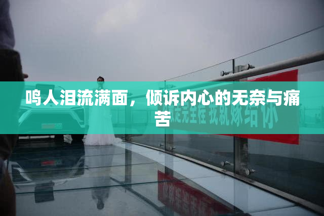 鸣人泪流满面，倾诉内心的无奈与痛苦