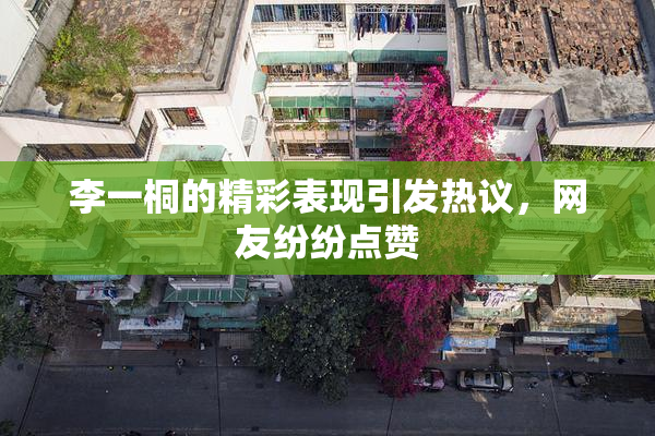 李一桐的精彩表现引发热议，网友纷纷点赞