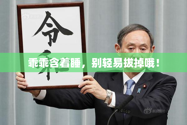 乖乖含着睡，别轻易拔掉哦！