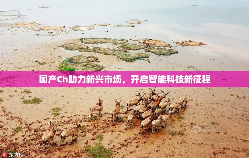 国产Ch助力新兴市场，开启智能科技新征程