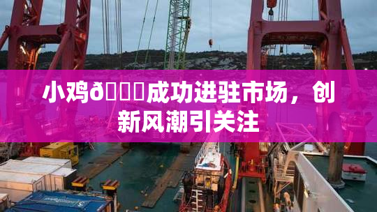 小鸡🐔成功进驻市场，创新风潮引关注