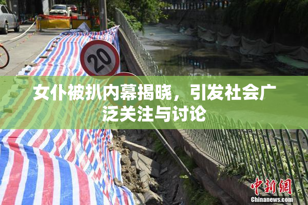 女仆被扒内幕揭晓，引发社会广泛关注与讨论