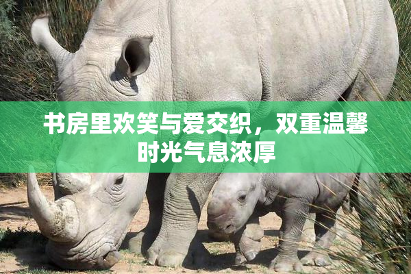 书房里欢笑与爱交织，双重温馨时光气息浓厚