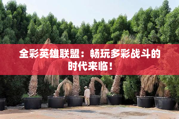 全彩英雄联盟：畅玩多彩战斗的时代来临！