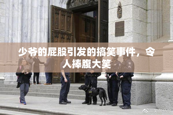 少爷的屁股引发的搞笑事件，令人捧腹大笑