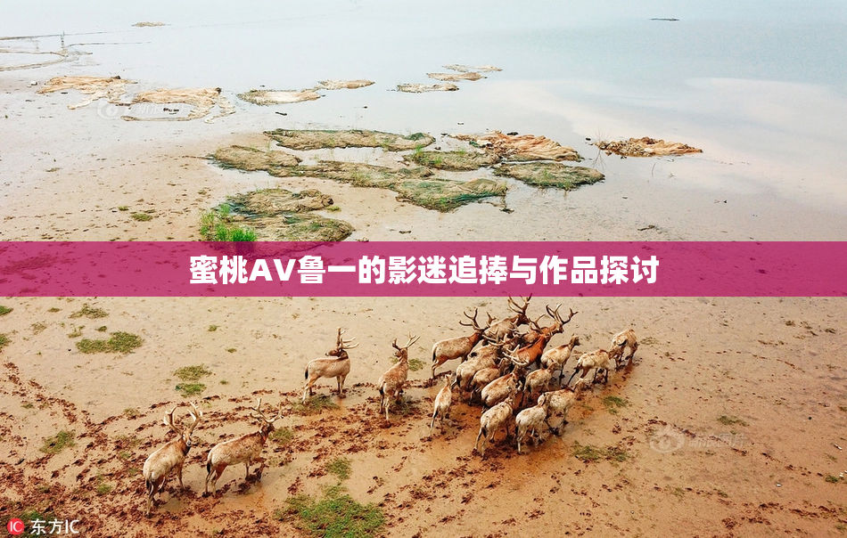 蜜桃AV鲁一的影迷追捧与作品探讨