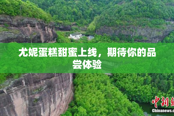 尤妮蛋糕甜蜜上线，期待你的品尝体验