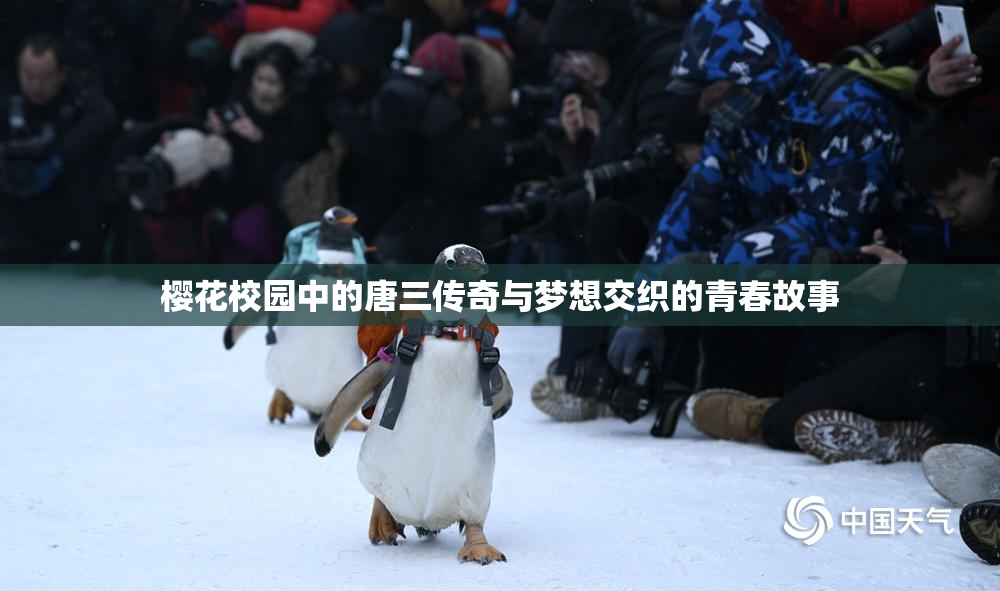 樱花校园中的唐三传奇与梦想交织的青春故事