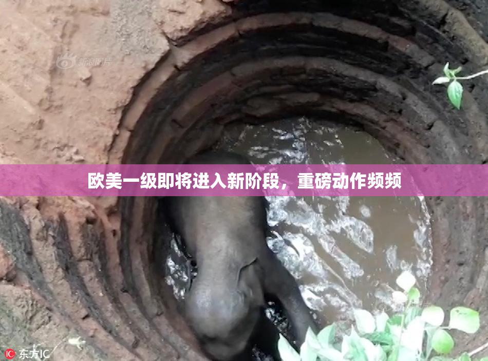 欧美一级即将进入新阶段，重磅动作频频