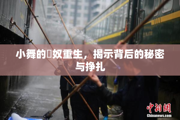 小舞的婬奴重生，揭示背后的秘密与挣扎