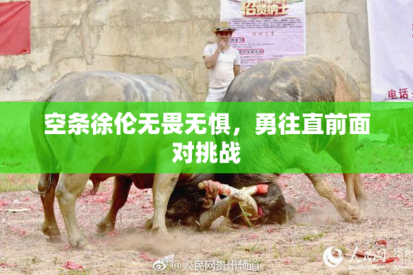 空条徐伦无畏无惧，勇往直前面对挑战