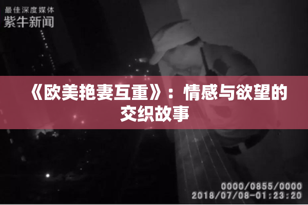 《欧美艳妻互重》：情感与欲望的交织故事