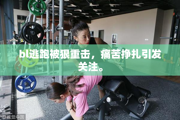 bl逃跑被狠重击，痛苦挣扎引发关注。