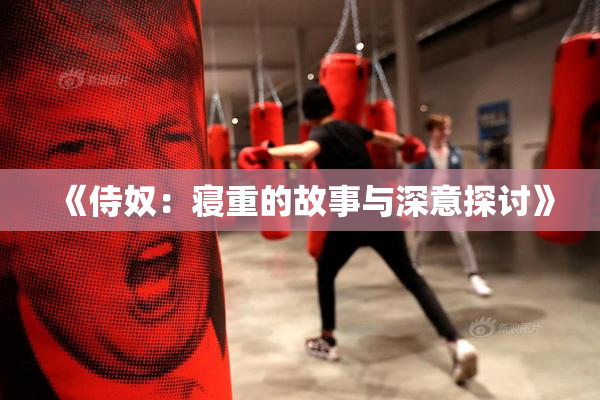 《侍奴：寝重的故事与深意探讨》