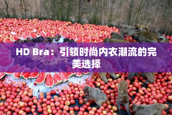 HD Bra：引领时尚内衣潮流的完美选择