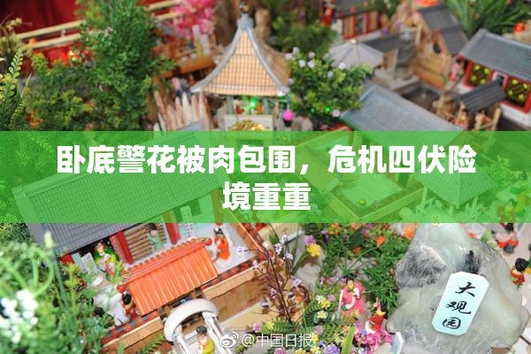 卧底警花被肉包围，危机四伏险境重重