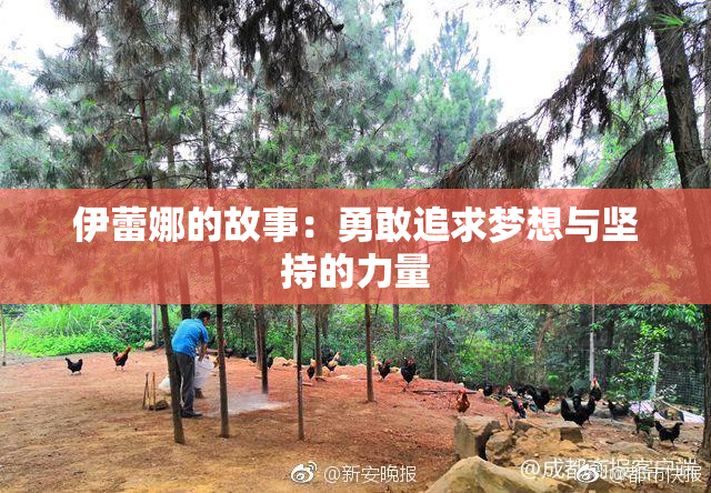 伊蕾娜的故事：勇敢追求梦想与坚持的力量