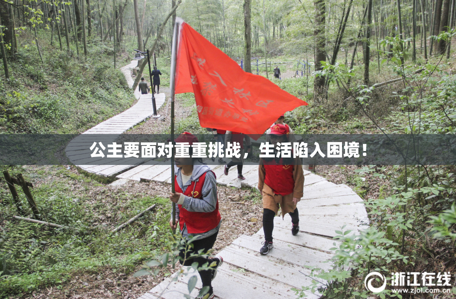 公主要面对重重挑战，生活陷入困境！