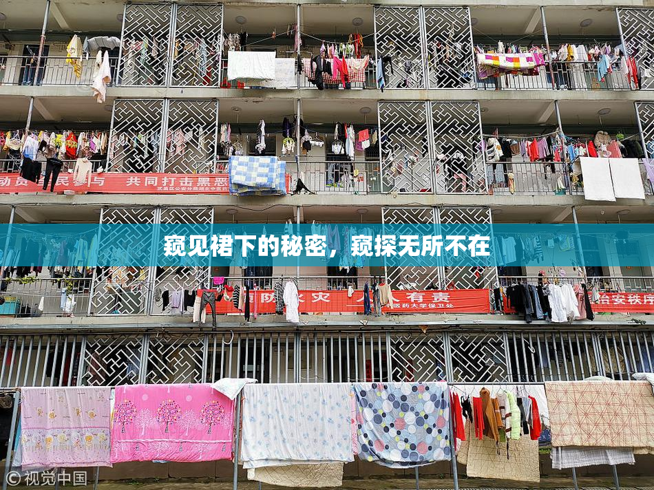 窥见裙下的秘密，窥探无所不在