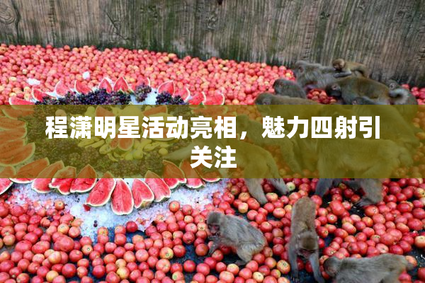 程潇明星活动亮相，魅力四射引关注