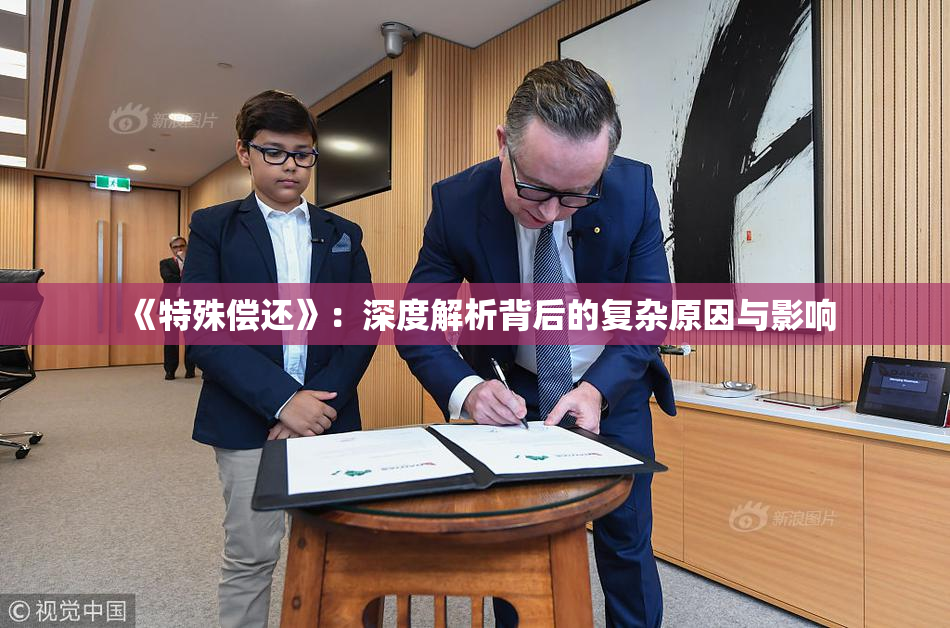 《特殊偿还》：深度解析背后的复杂原因与影响