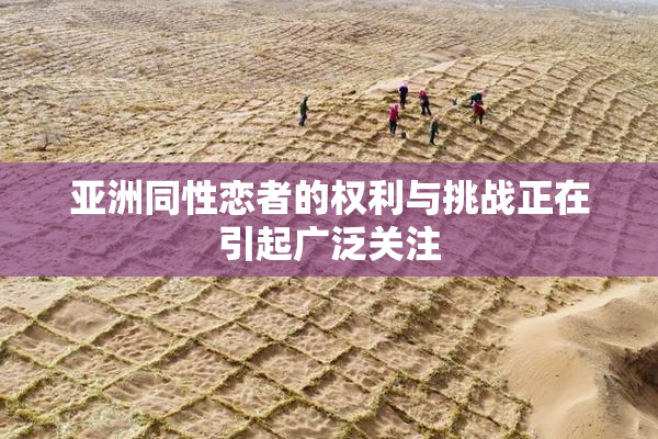 亚洲同性恋者的权利与挑战正在引起广泛关注