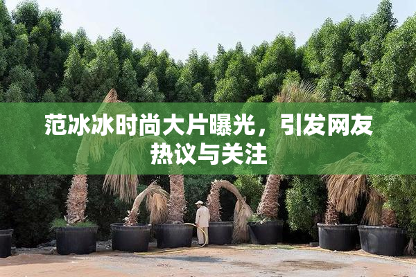 范冰冰时尚大片曝光，引发网友热议与关注