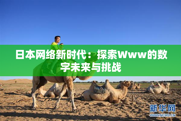 日本网络新时代：探索Www的数字未来与挑战