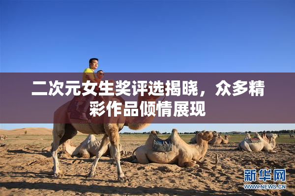 二次元女生奖评选揭晓，众多精彩作品倾情展现