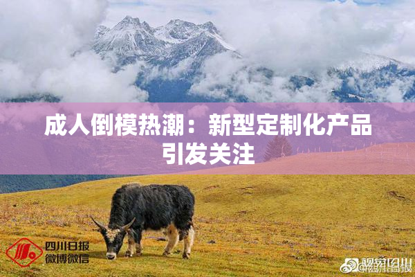 成人倒模热潮：新型定制化产品引发关注