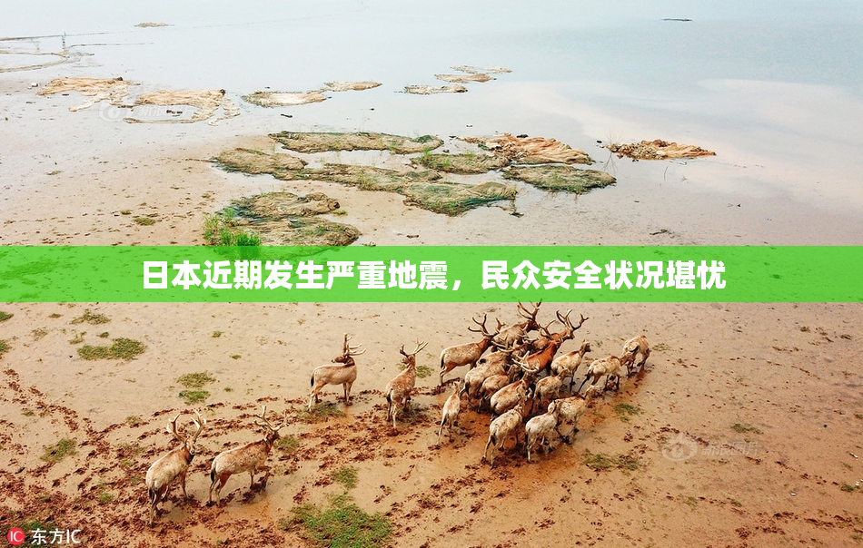 日本近期发生严重地震，民众安全状况堪忧